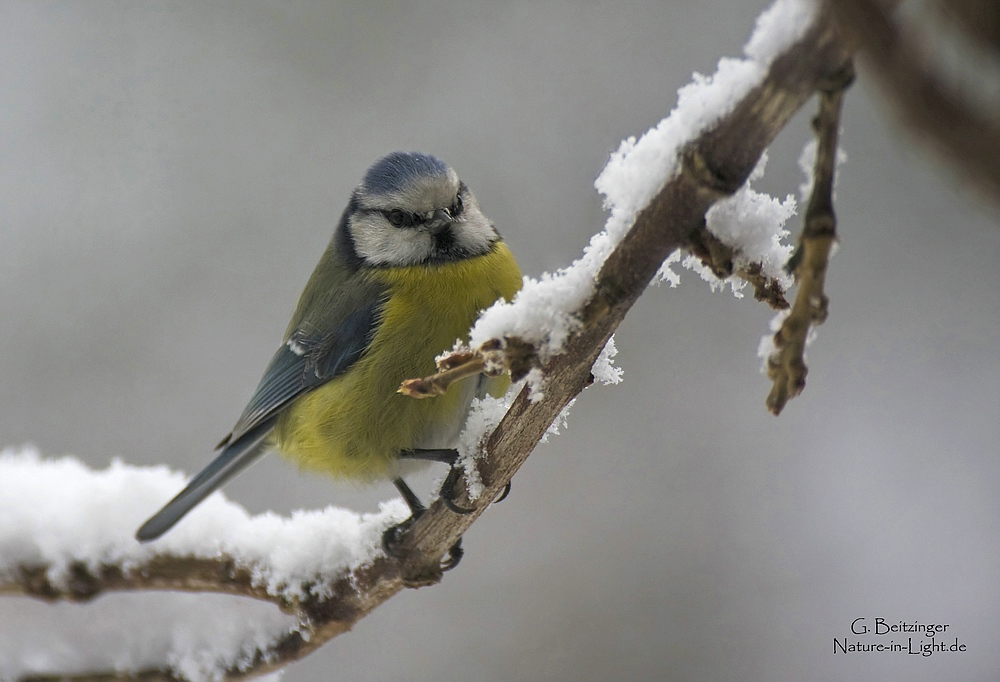 Der Winter kommt!