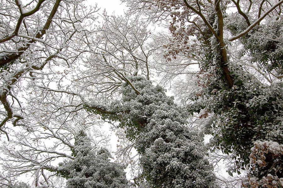 Winterzauber auf meinem Hof