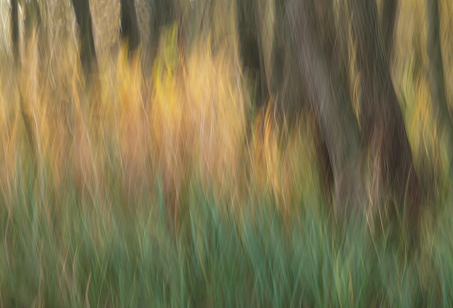 ~ Herbstwischer IV ~
