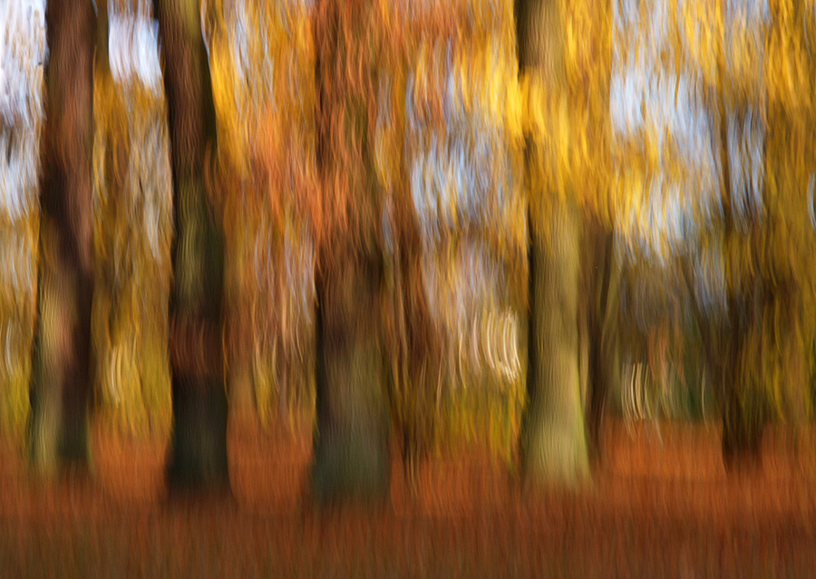 ~ Herbstwisher VI ~