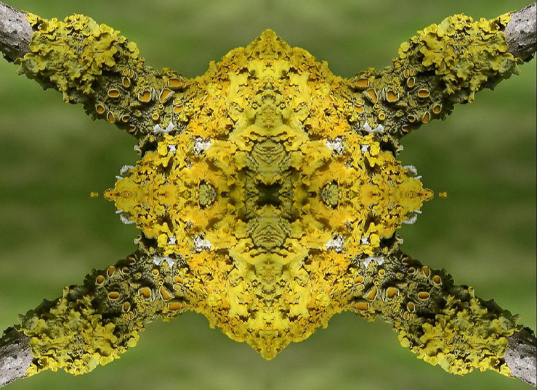 das 3.