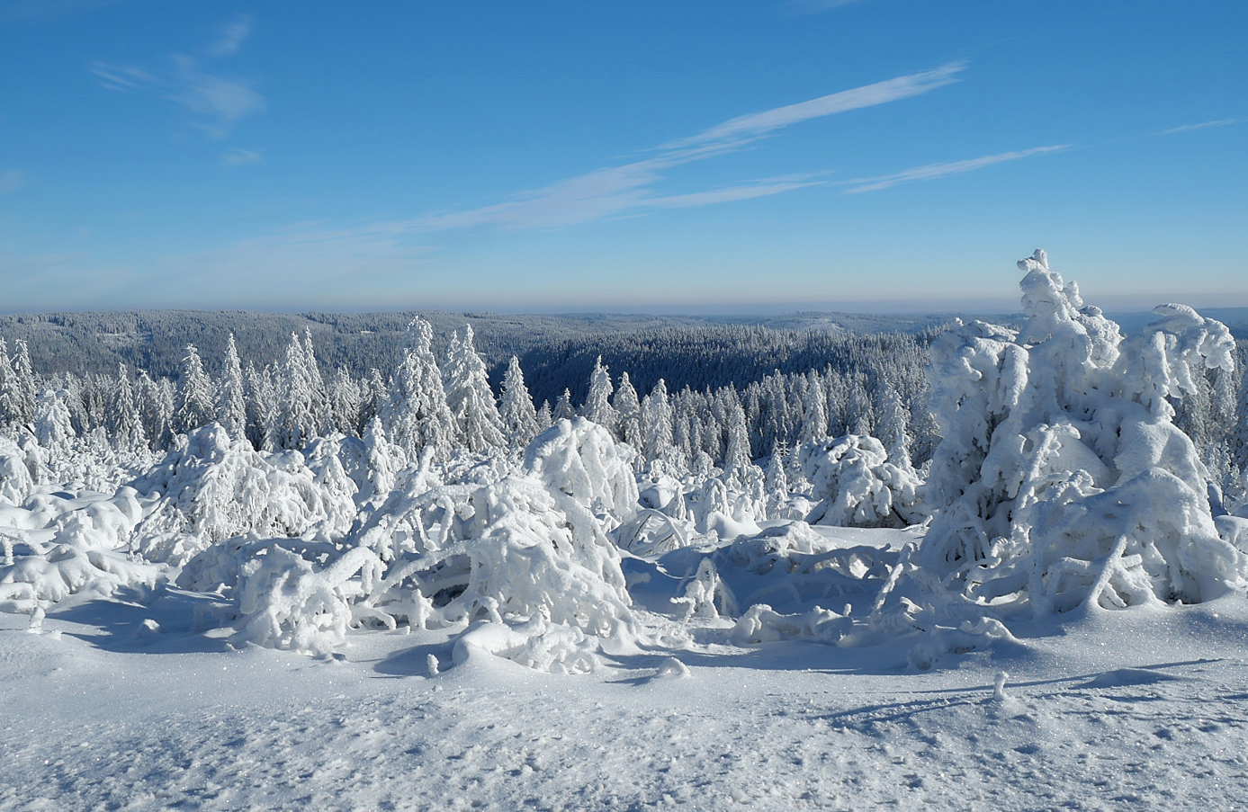 Winterlicher Blick...