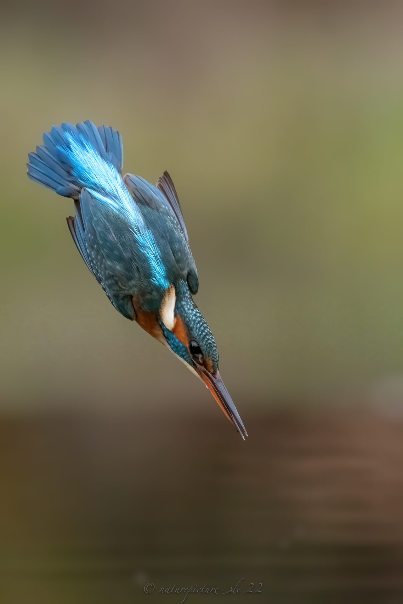 Blue Arrow