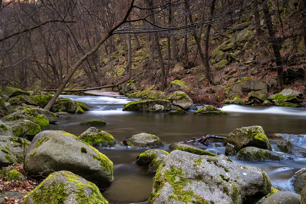 Flusslauf