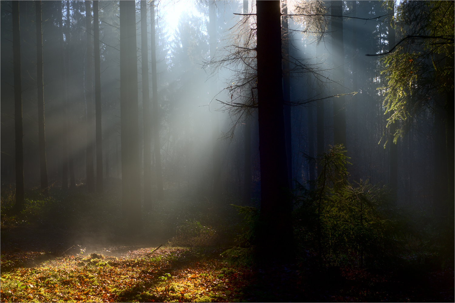 Der frühe Fotograf am Morgen ...