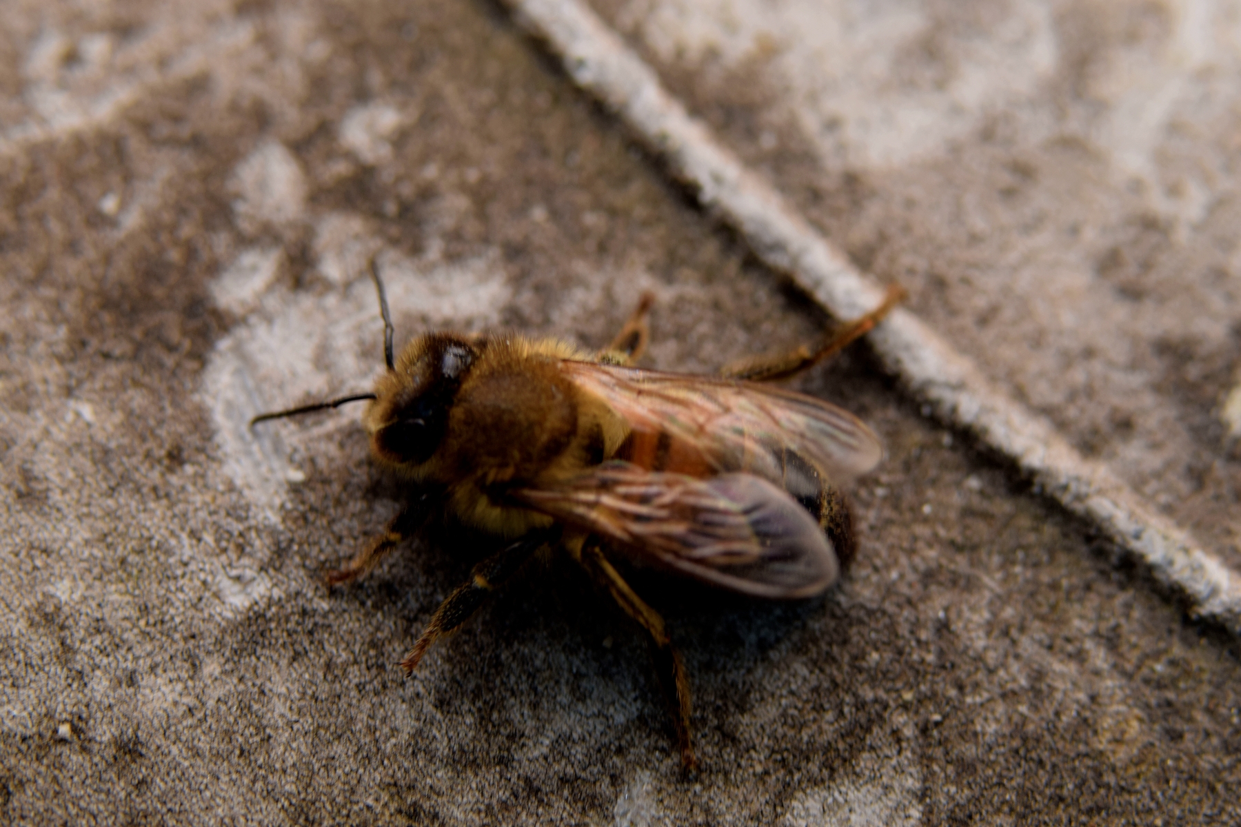 Besuch im Februar