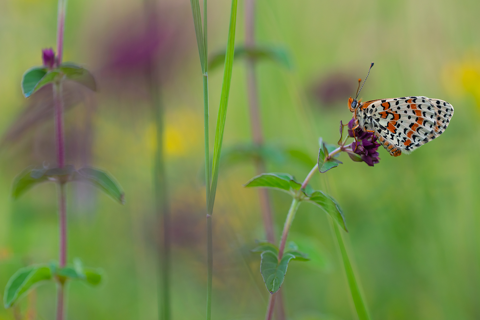 Sommerzeit