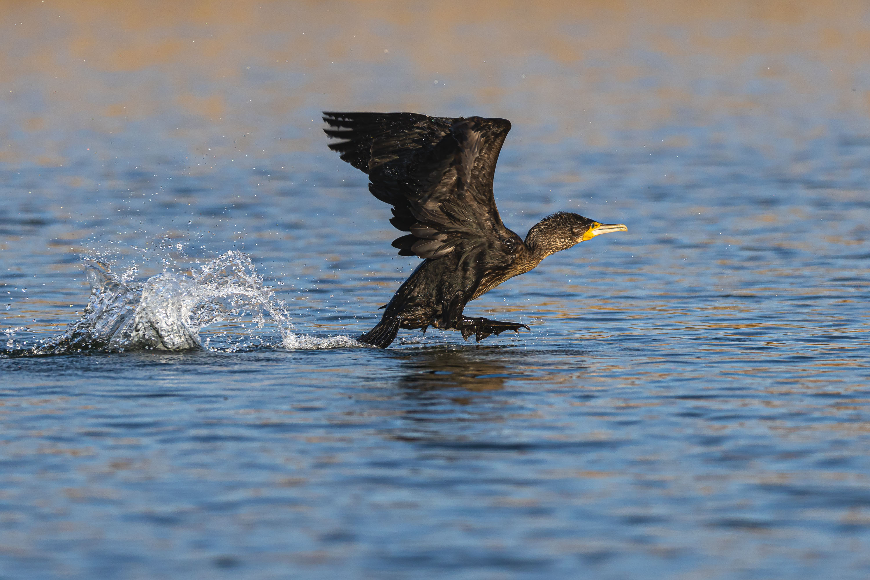Take-off I