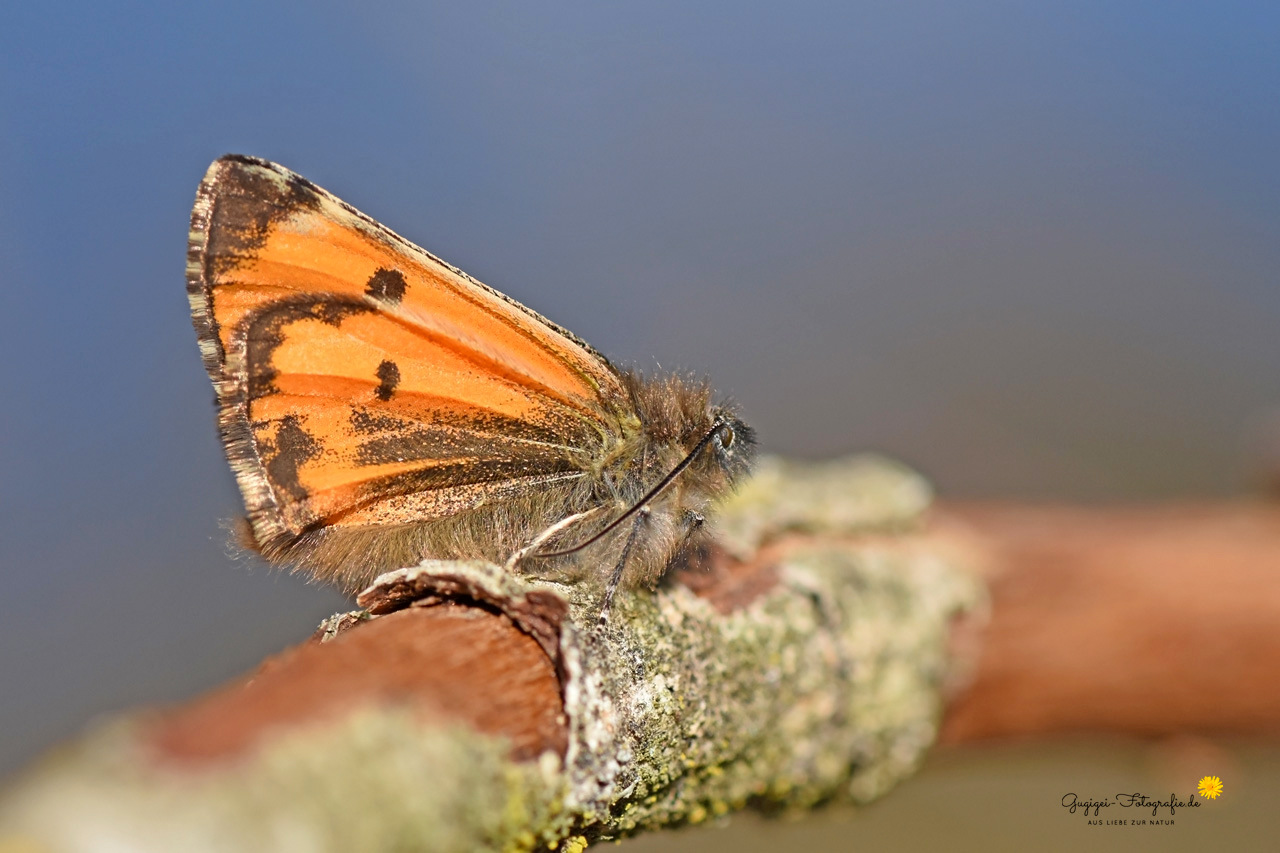 Heute im Moor