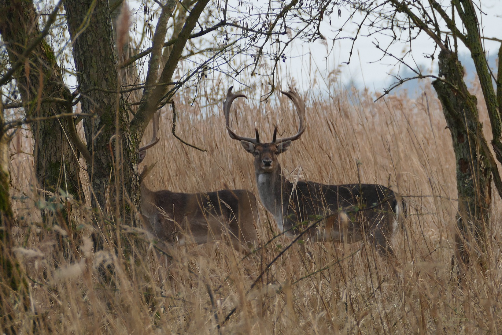 Der misstrauische Blick