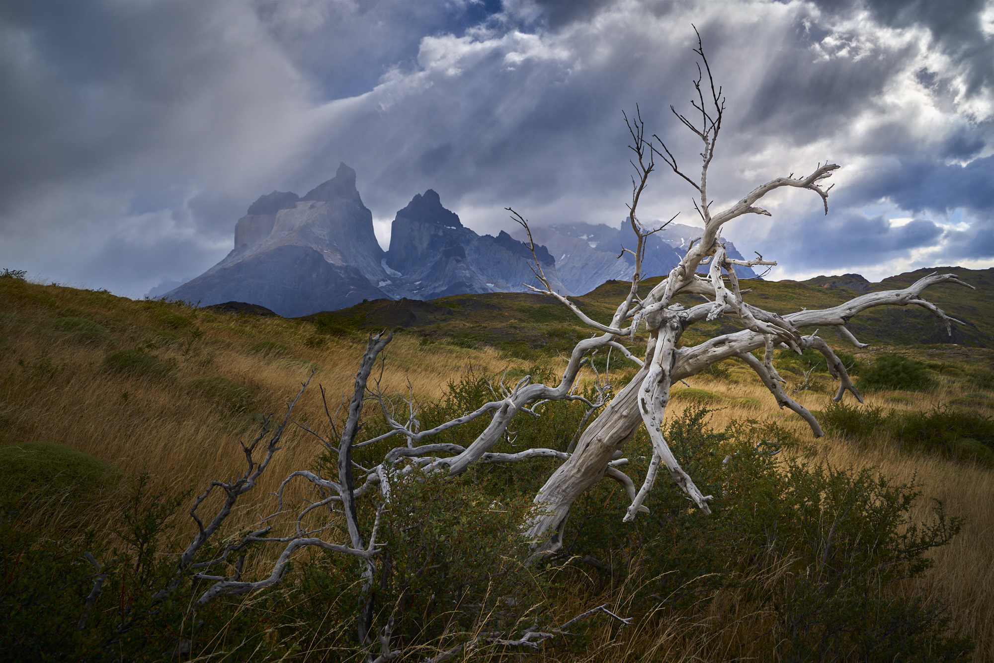 Torres del Paine Nationalpark