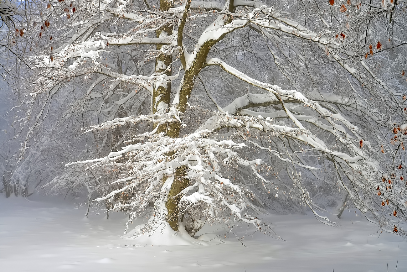 Wieder Winter