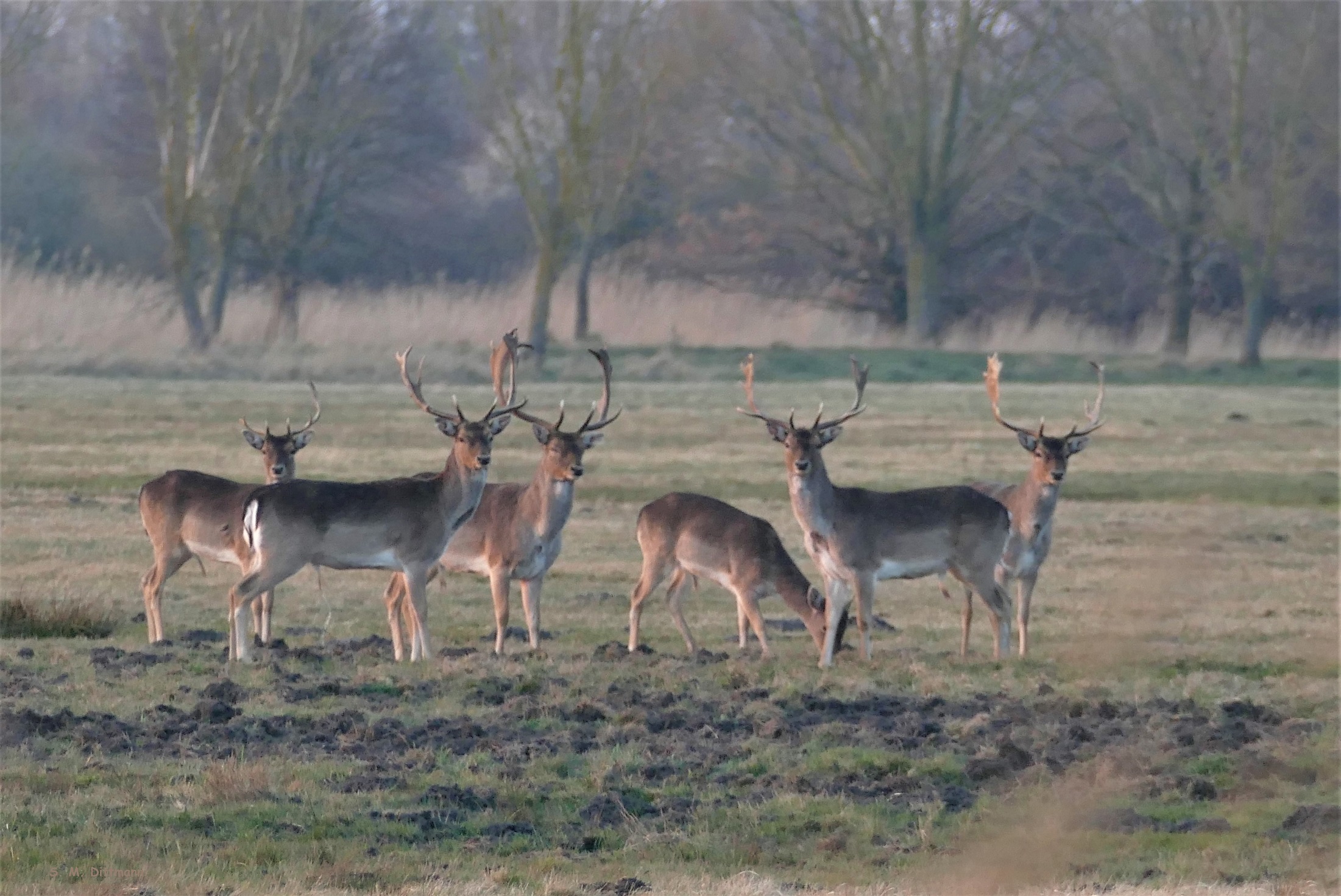 Begegnung auf dem Heimweg
