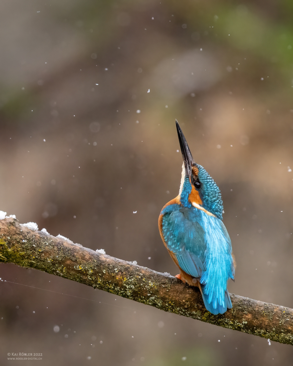 Schnee im April