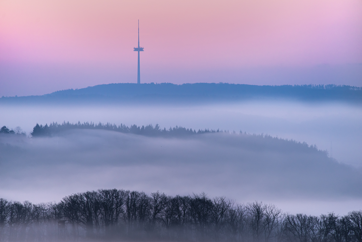 Morgentlicher Blick über das Moseltal