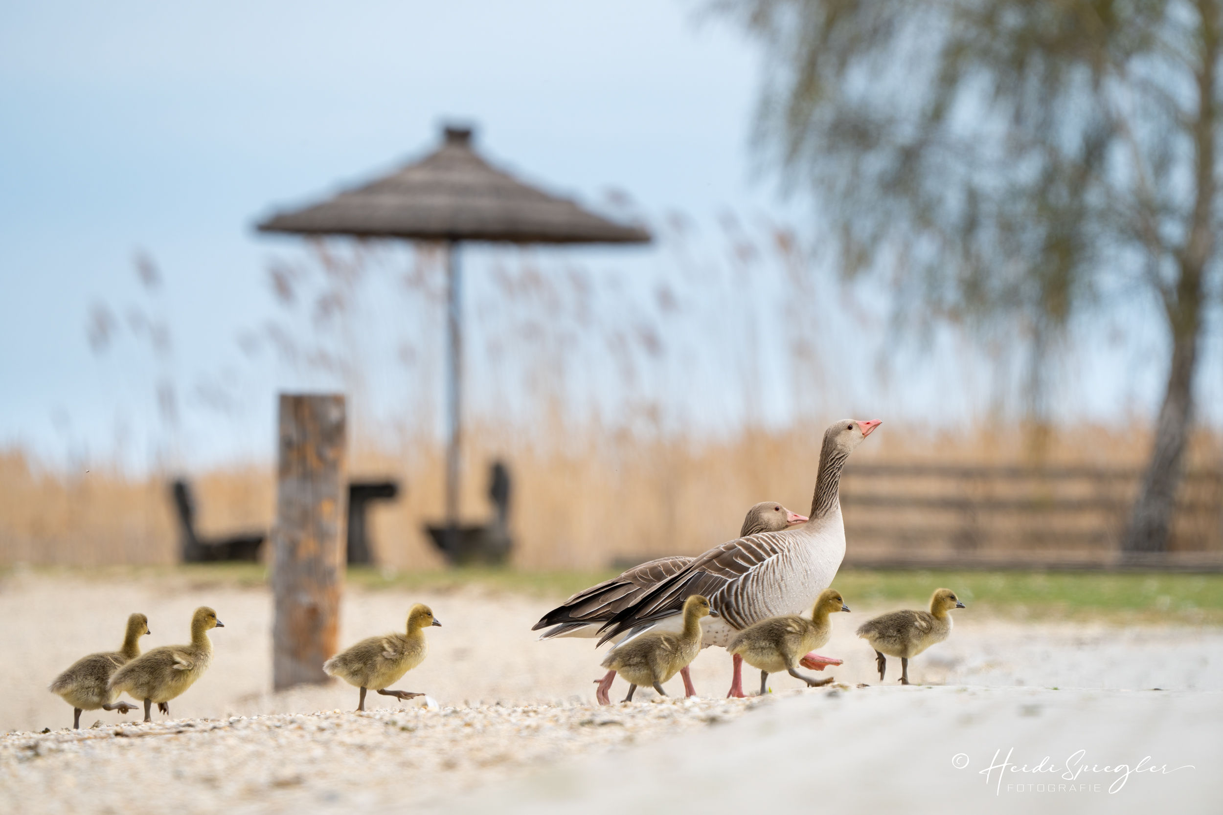 Ein Familienausflug...