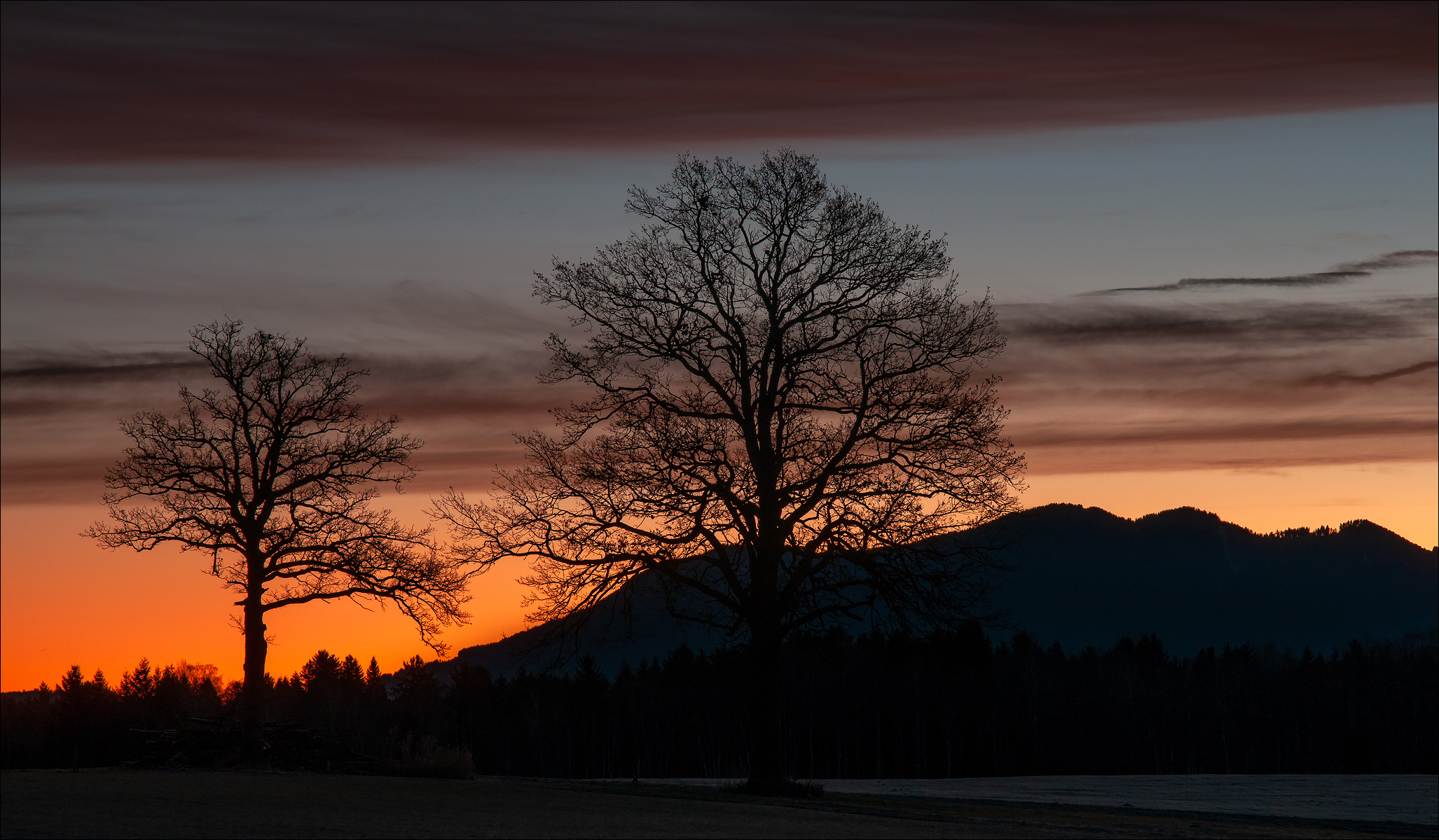 Morninglight