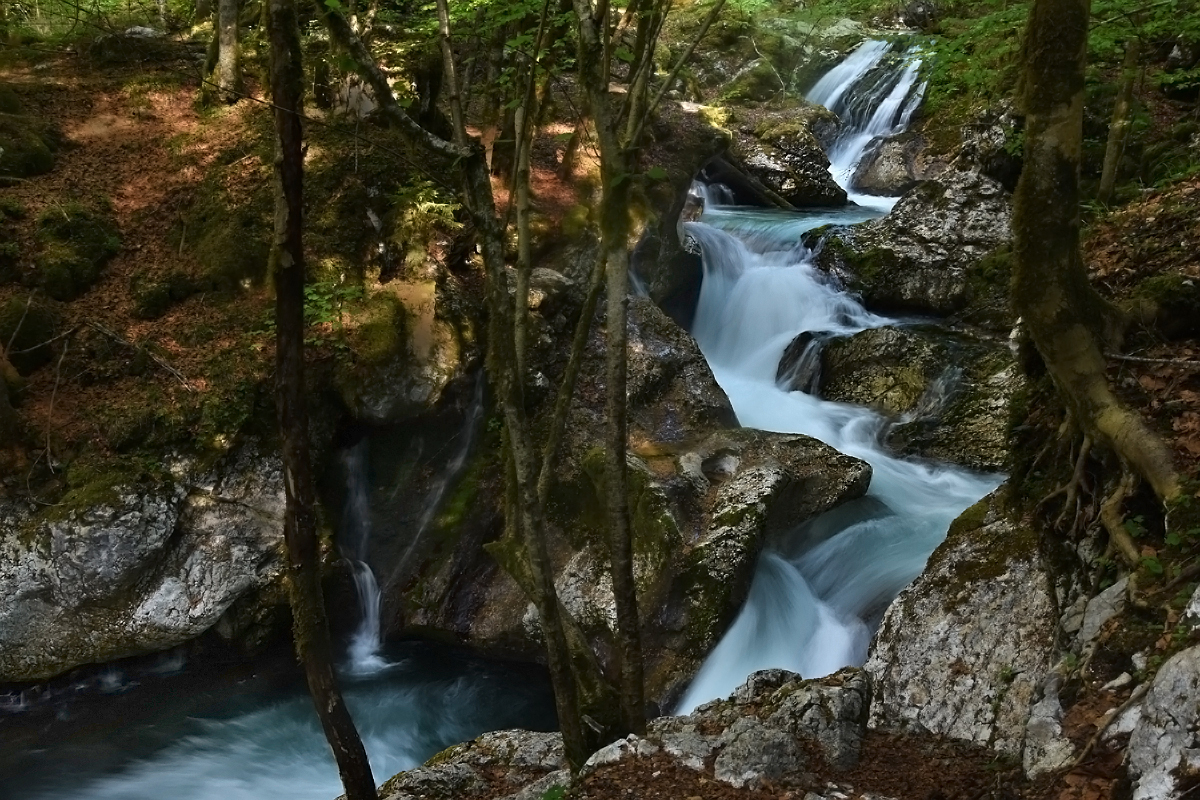 Wilde Schlucht