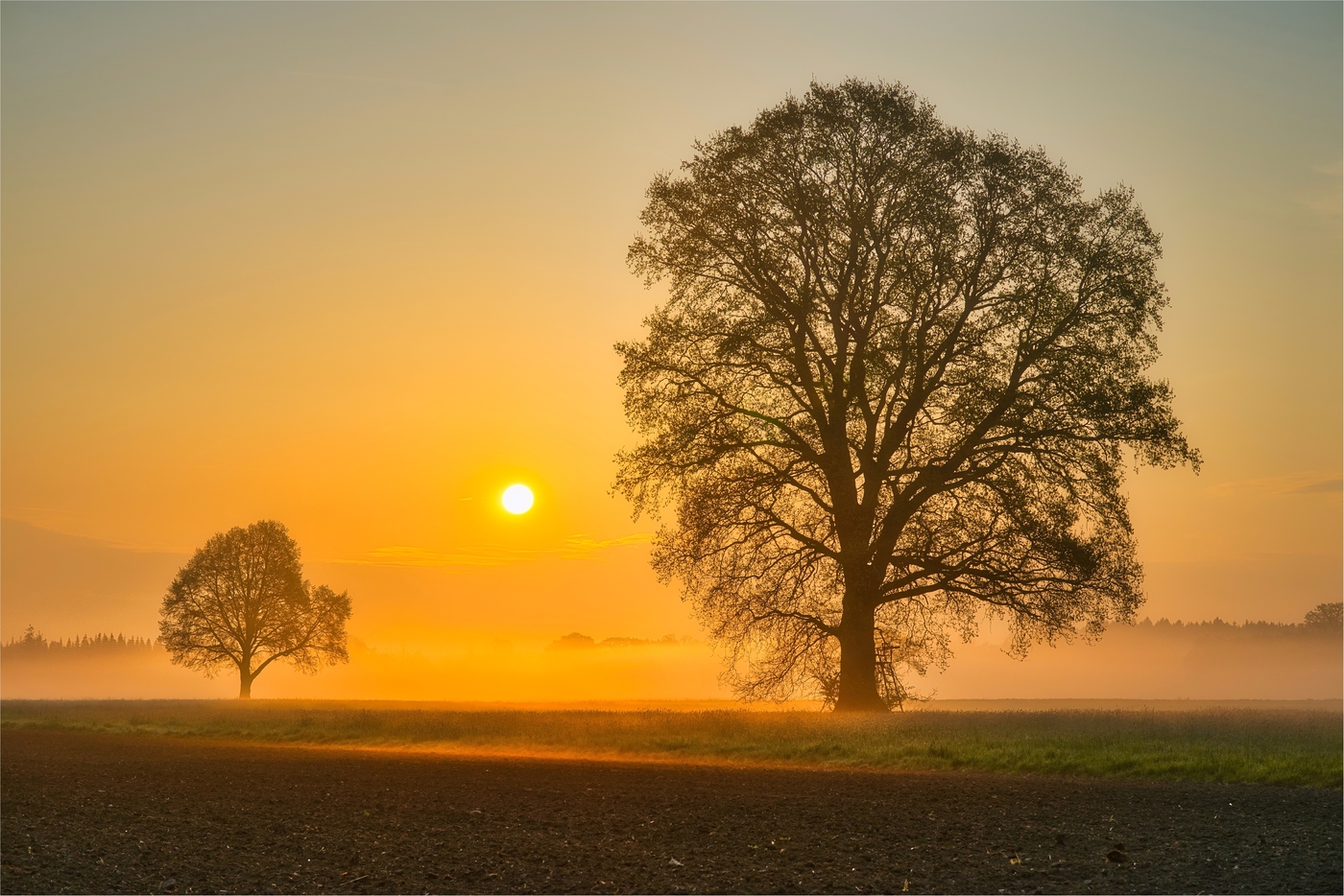 Morgennebel II