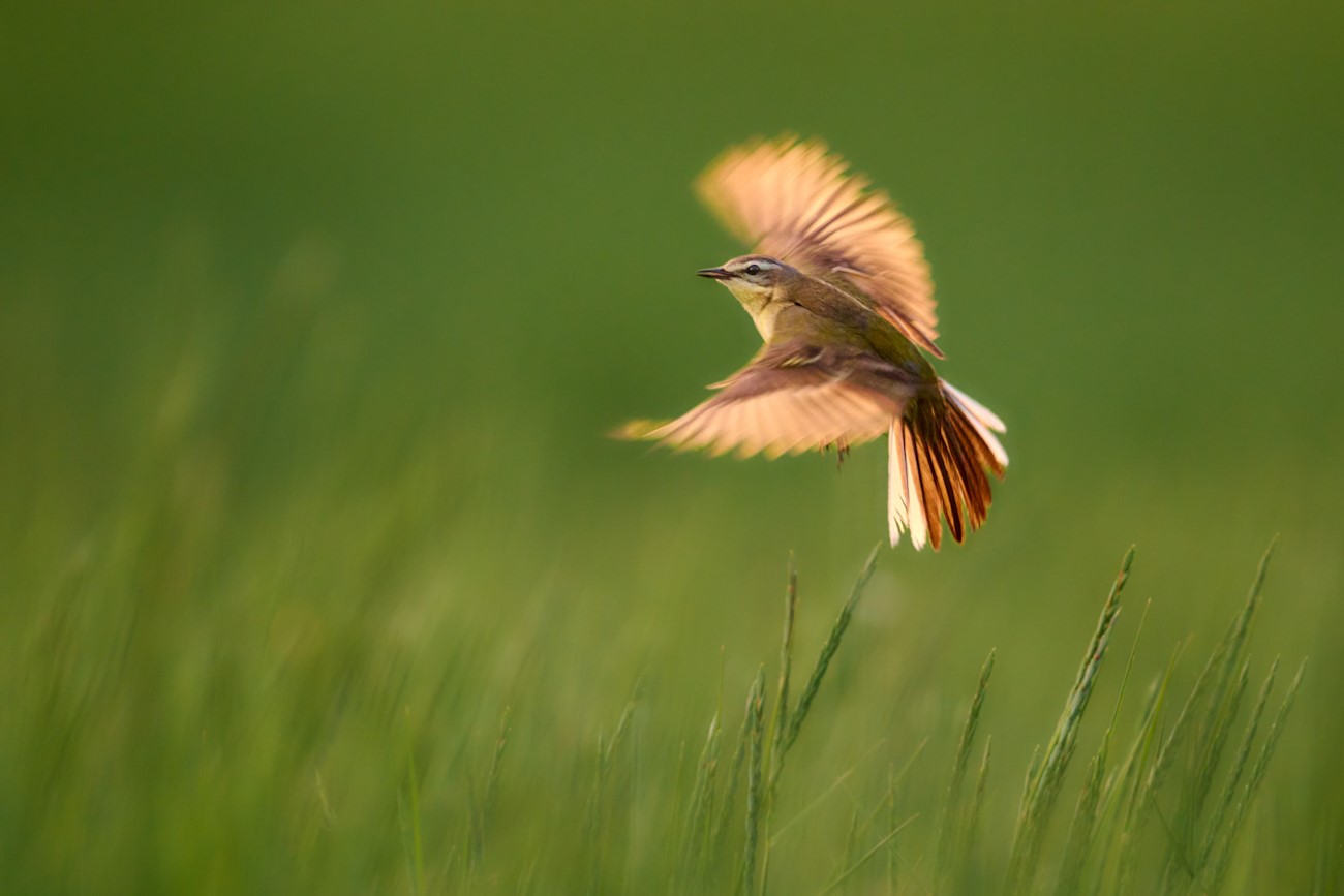 Takeoff