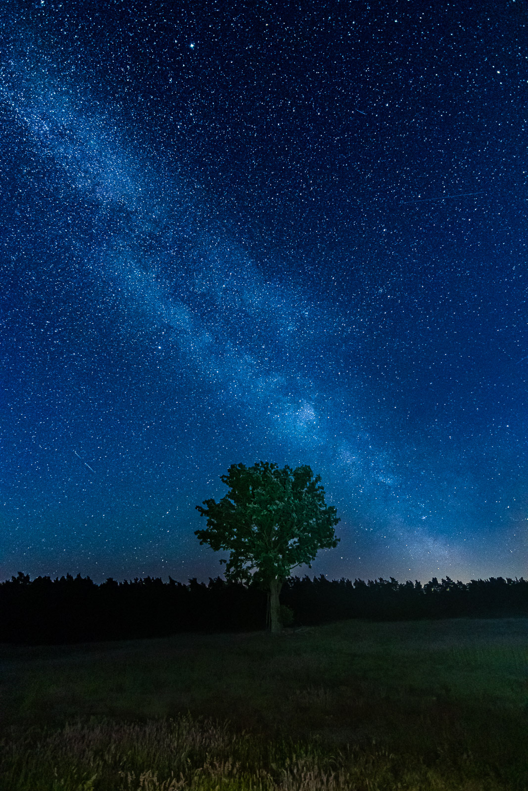 Sternenhimmel in Brandenburg