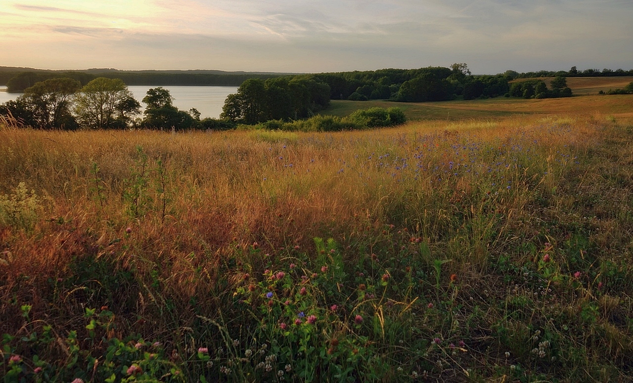Sommerabend