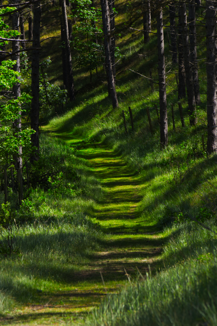 Die Schattentreppe