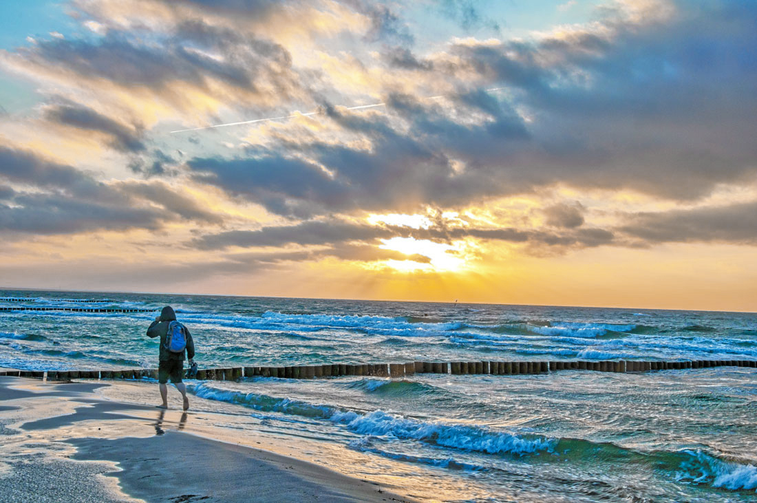 Strandläufer (Forum für Naturfotografen)