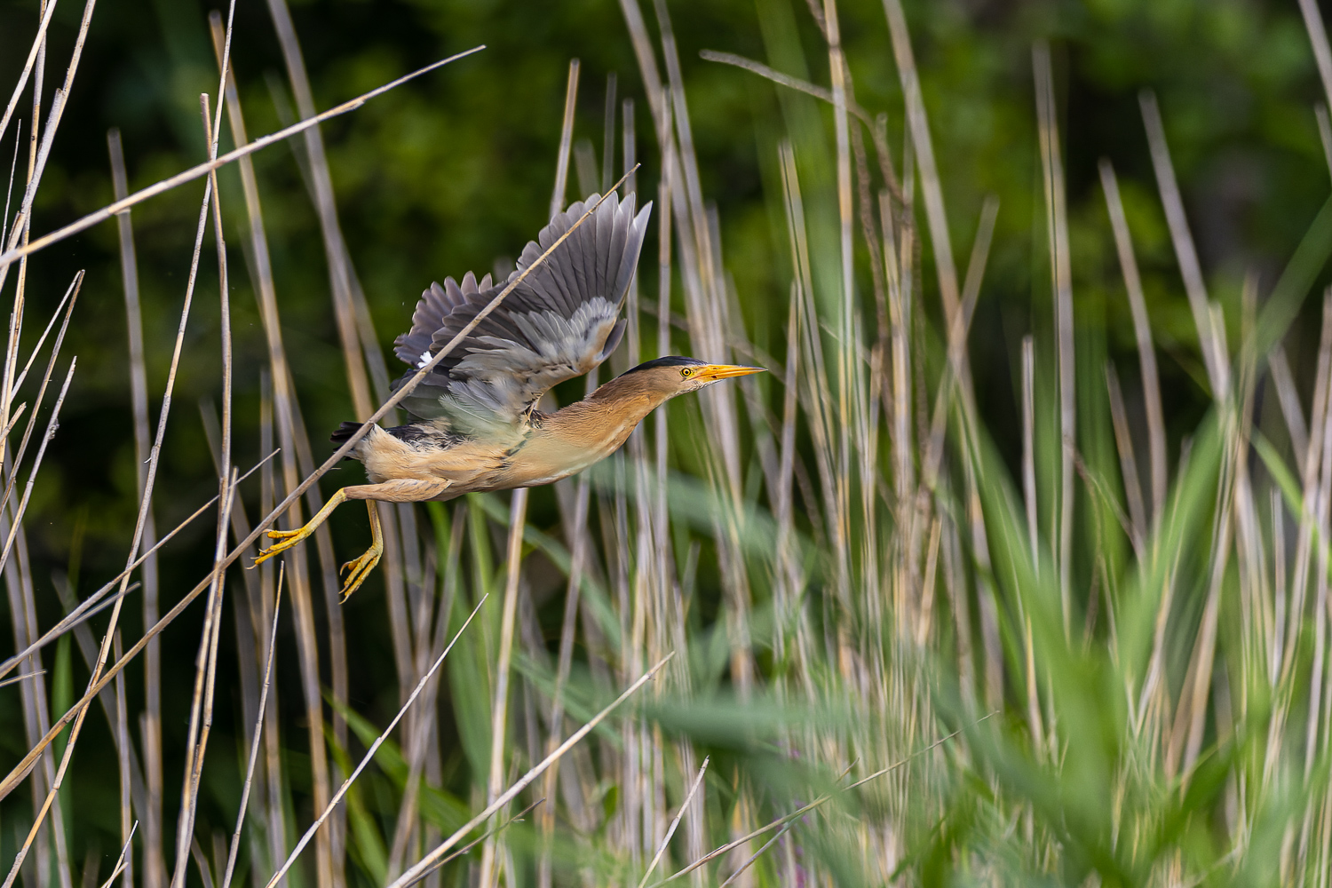 Take-off