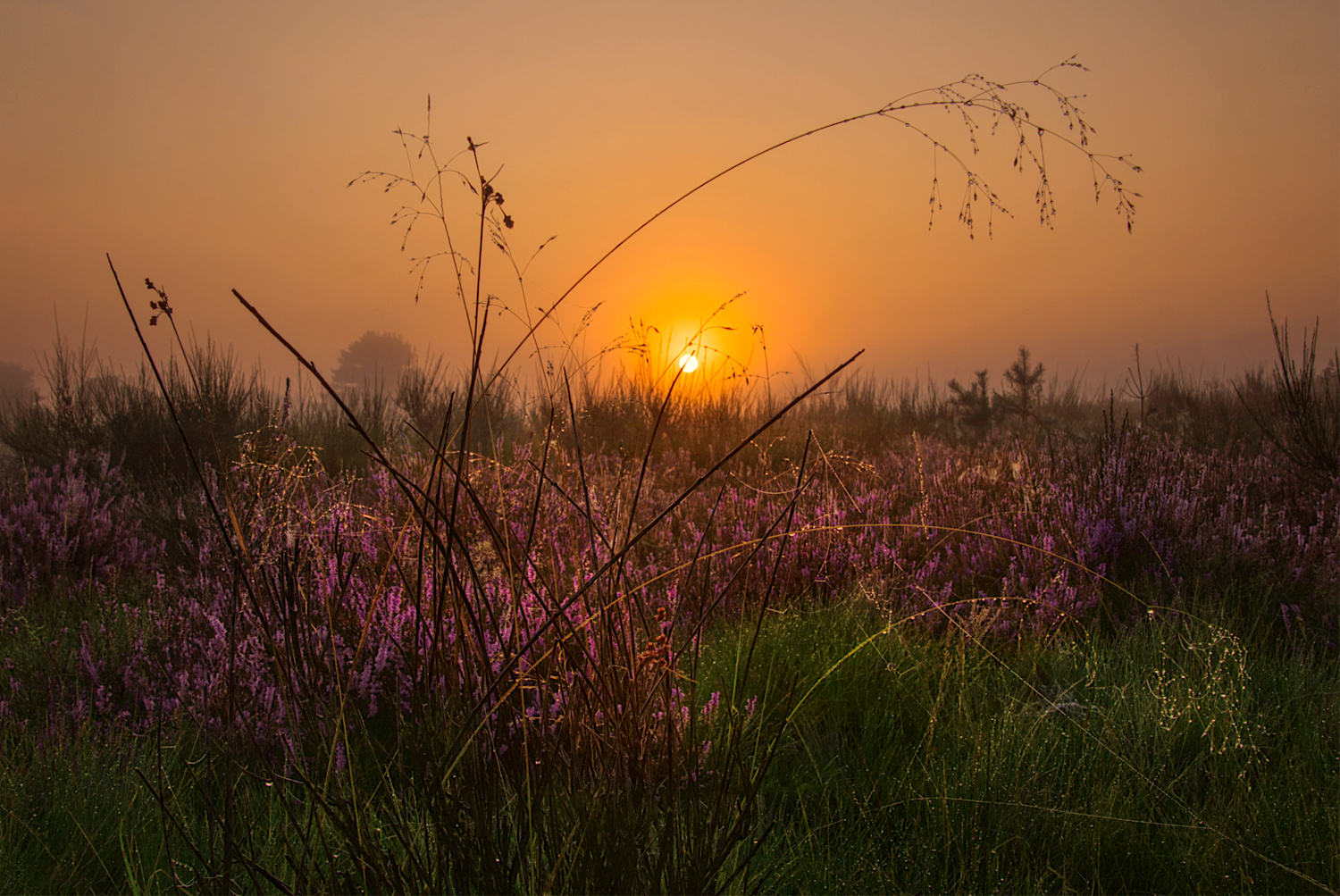 Lichtpoesie
