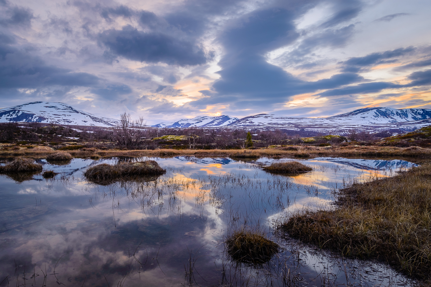 Spät am Abend auf dem Dovrefjell