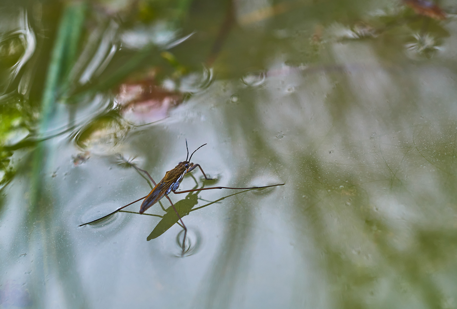 Damals, als es noch Wasser gab