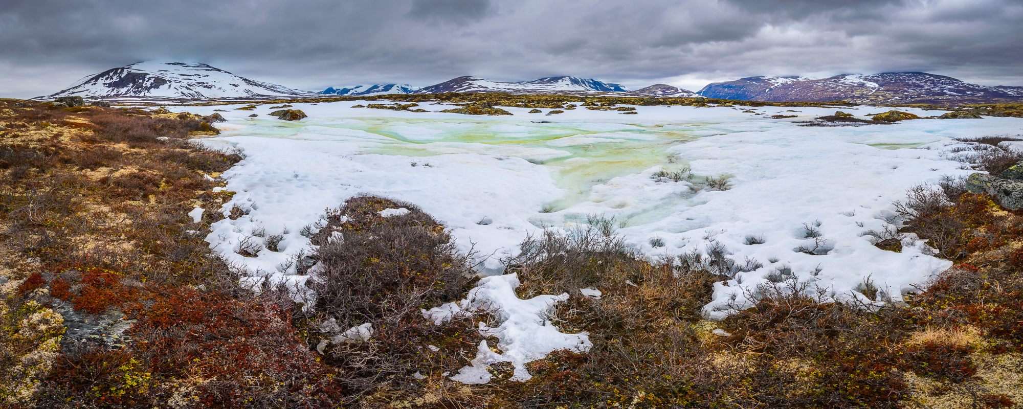 Schneeschmelze auf dem Dovrefjell