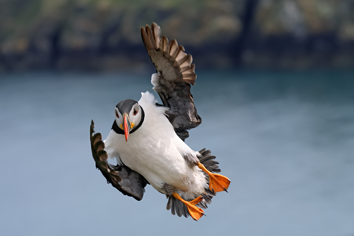 im Anflug