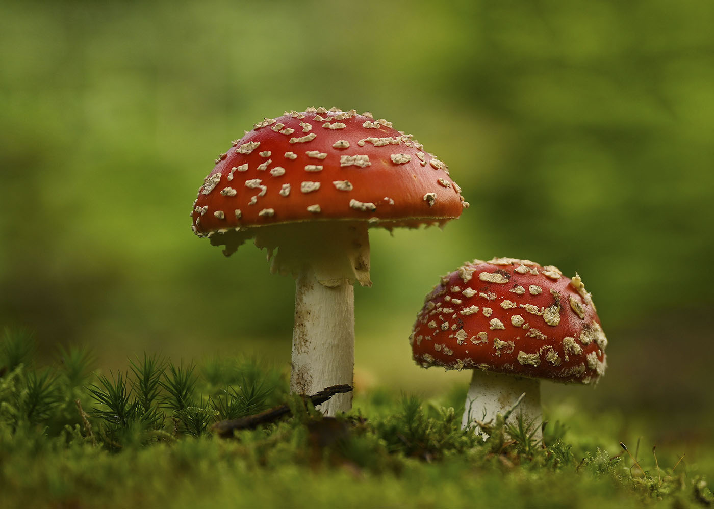 nach dem Regen