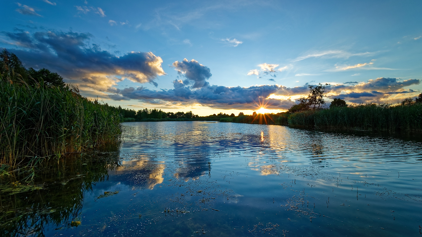 Ein Sommerabend am See