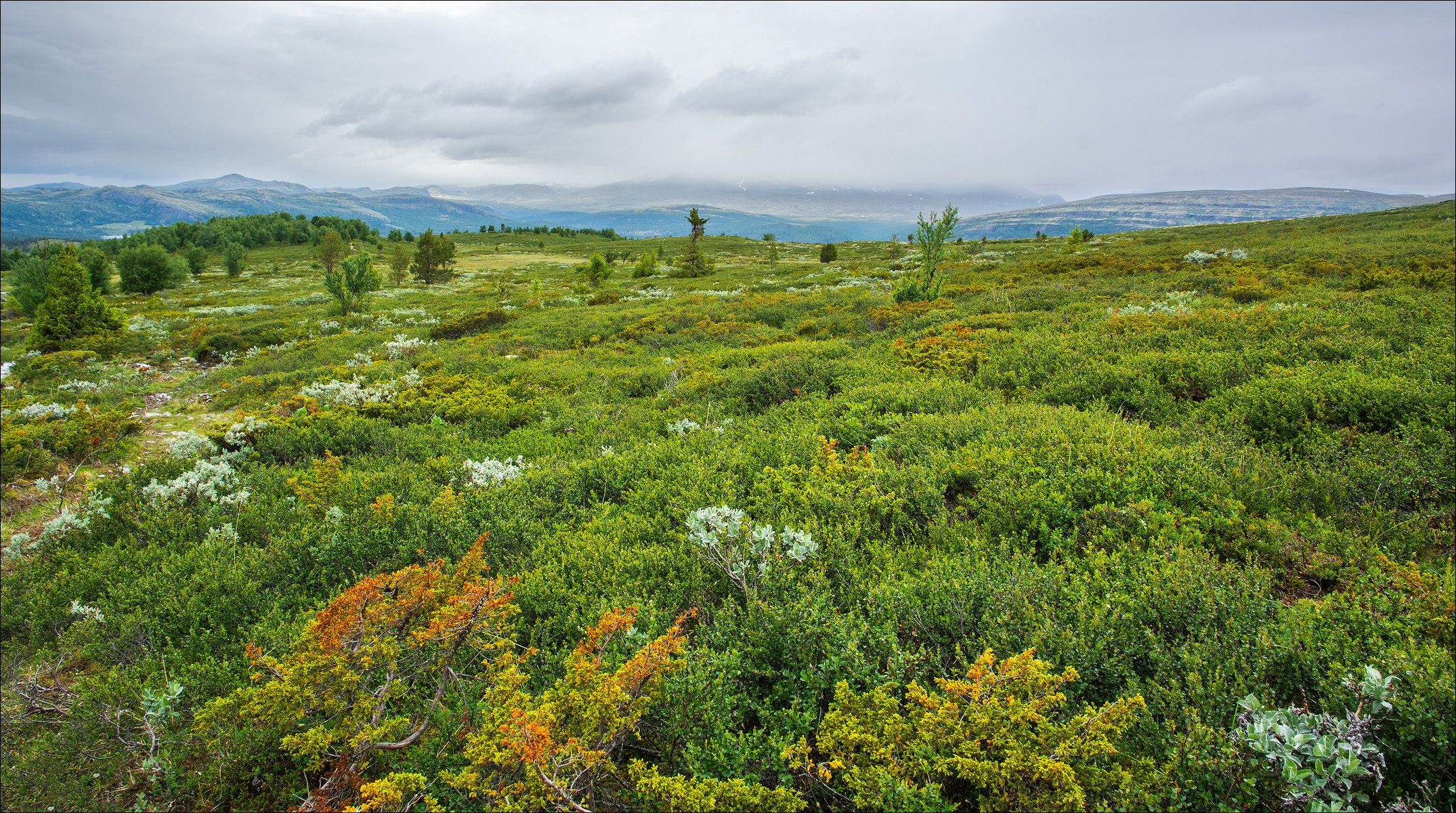 Rondane NP