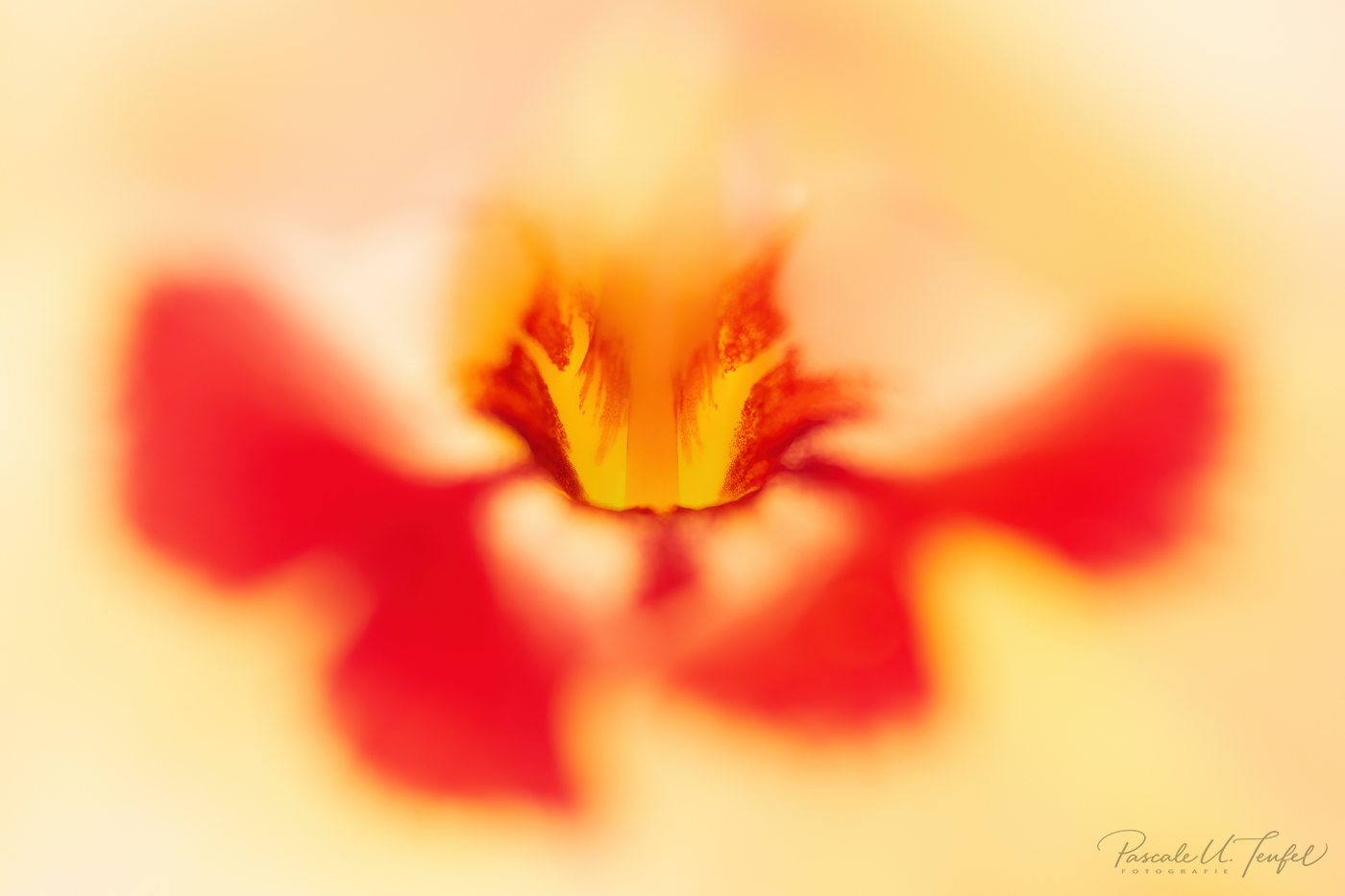 Abschied des Sommers