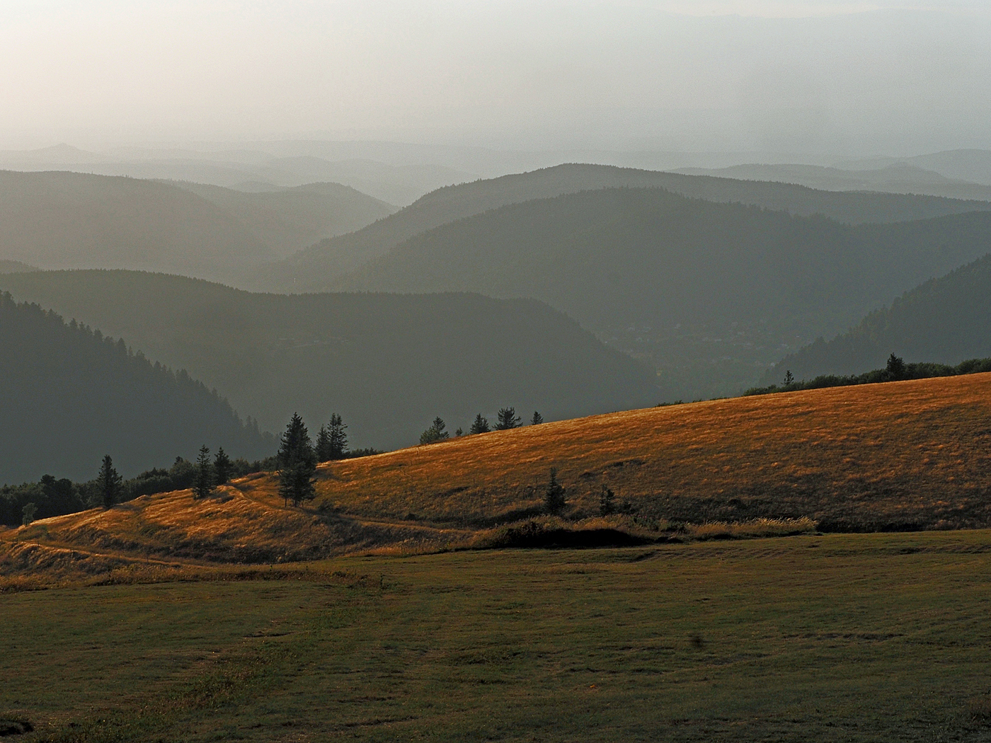 Ein Morgen in den Vogesen