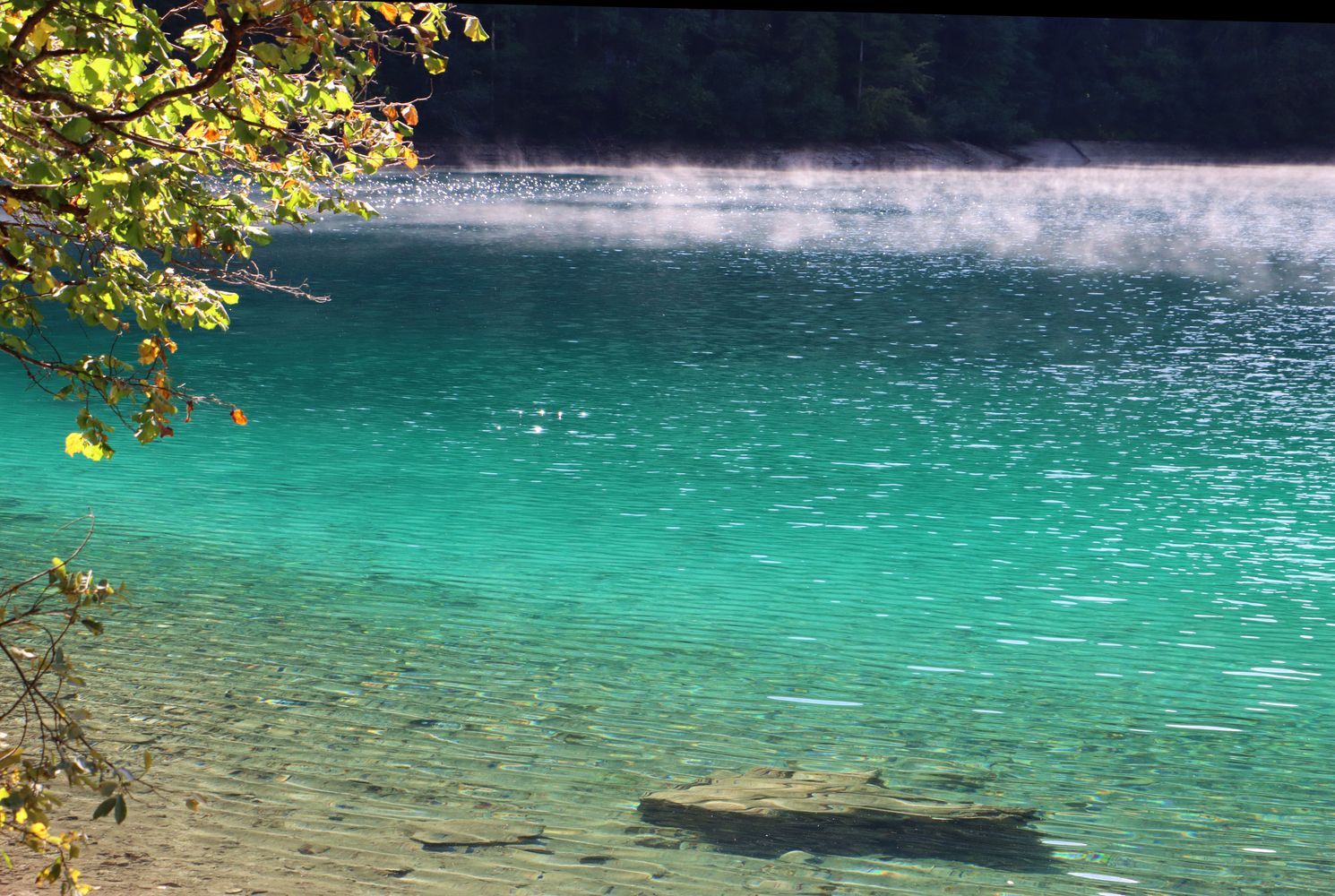 Herbststimmung am Tovel See