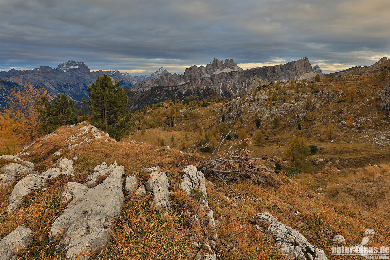 Croda da Lago