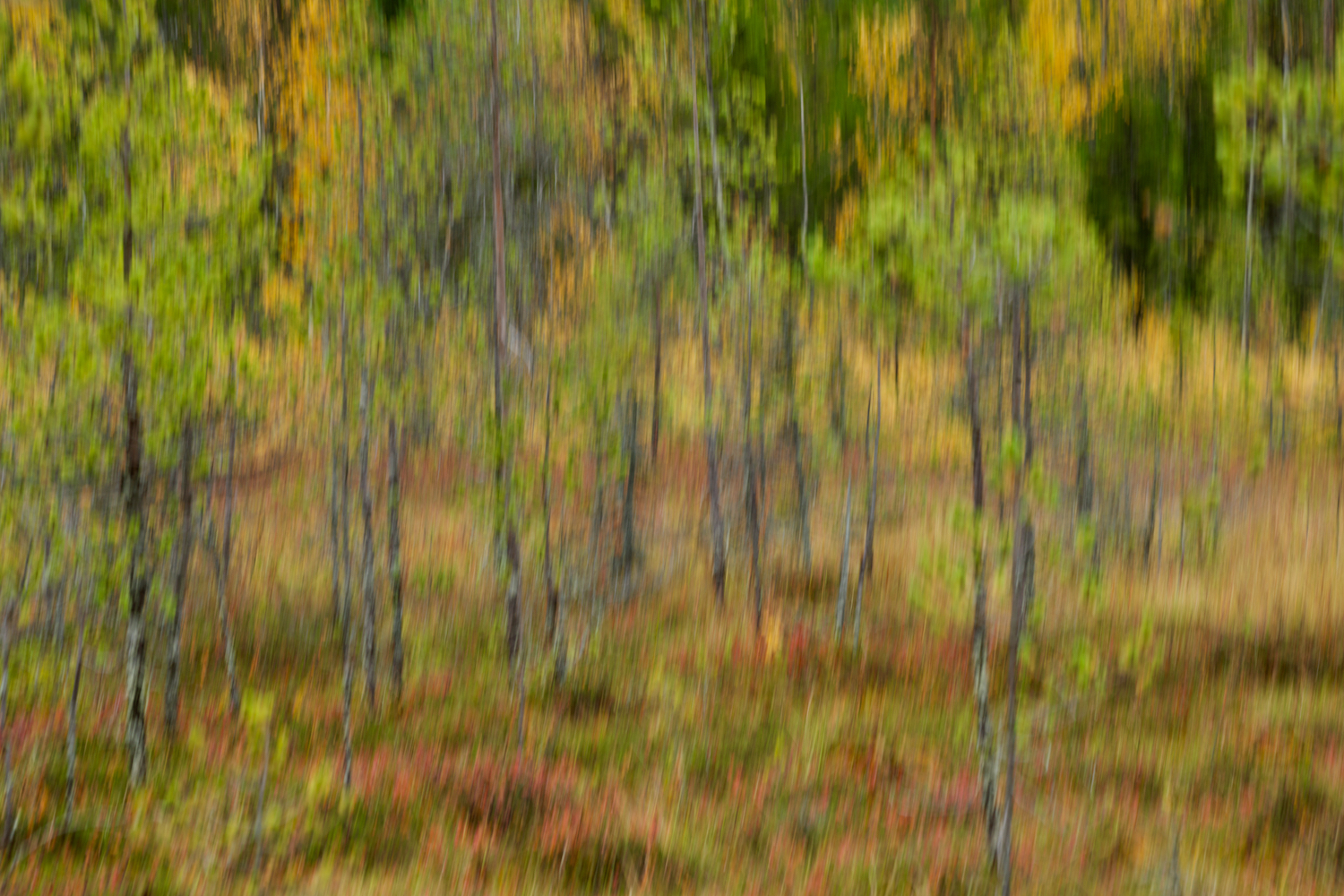 Finnische Herbstimpression