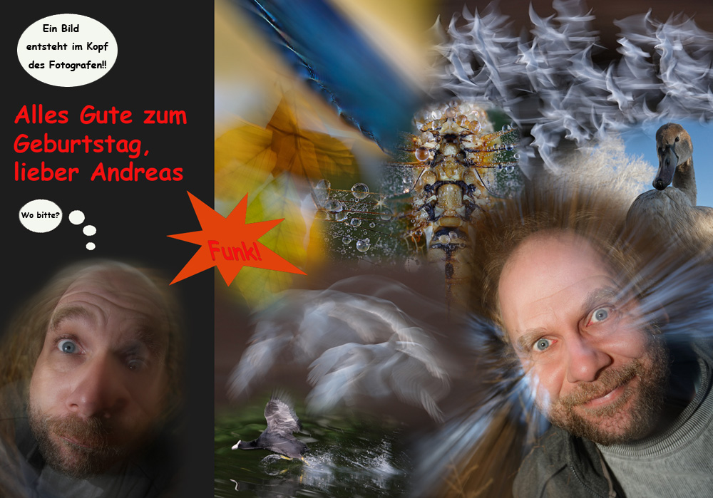 Heute feiern wir ...