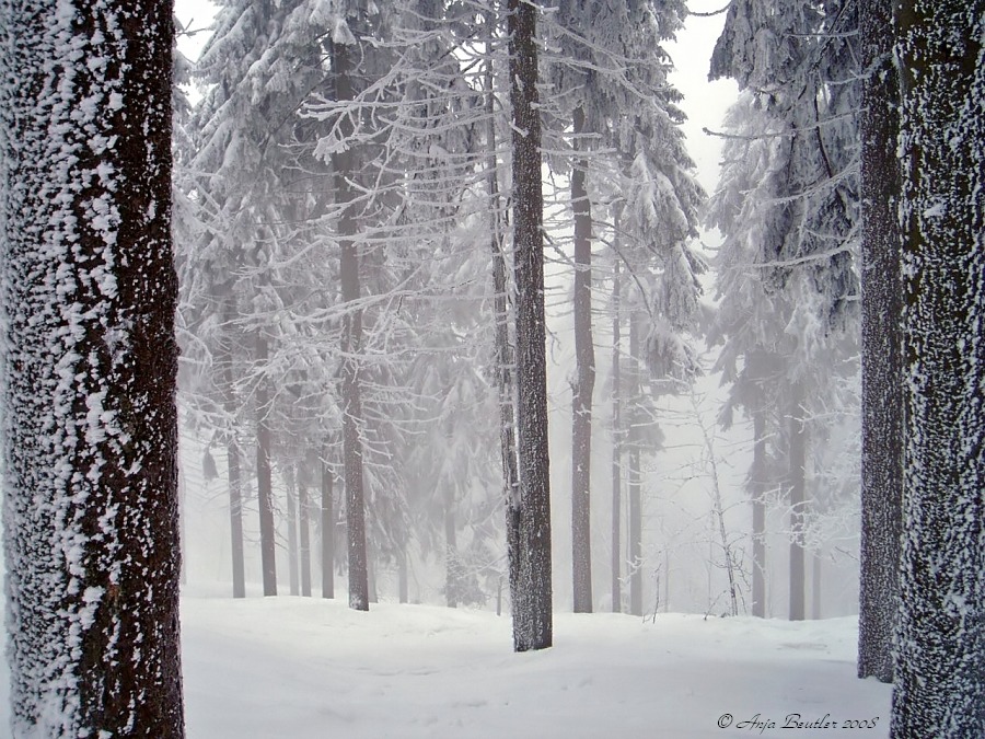 Eiszeit