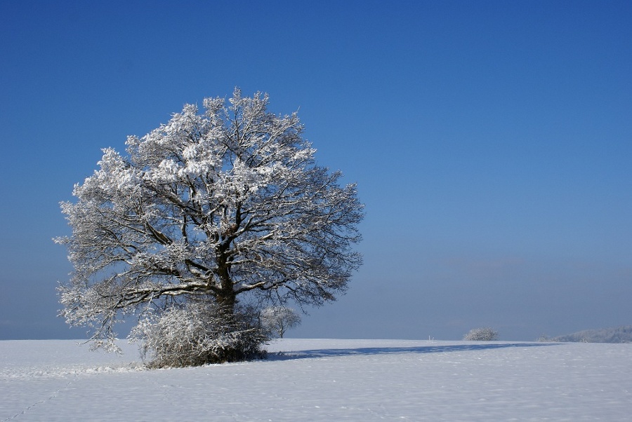 Winterkleid