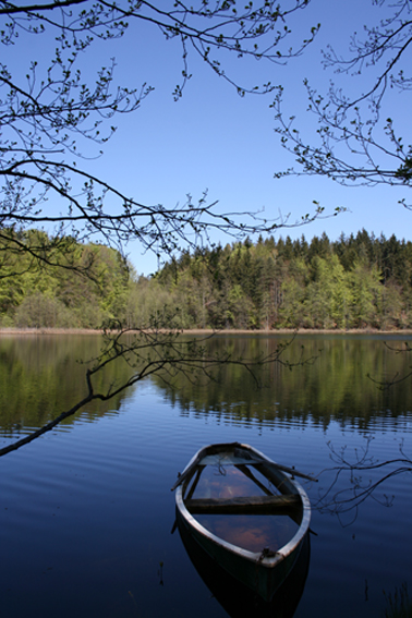 Hartsee (bei Wasserburg) im April