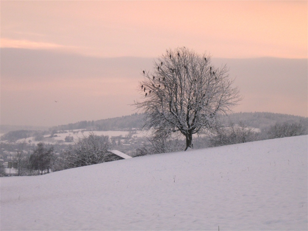 ein Dezemberabend