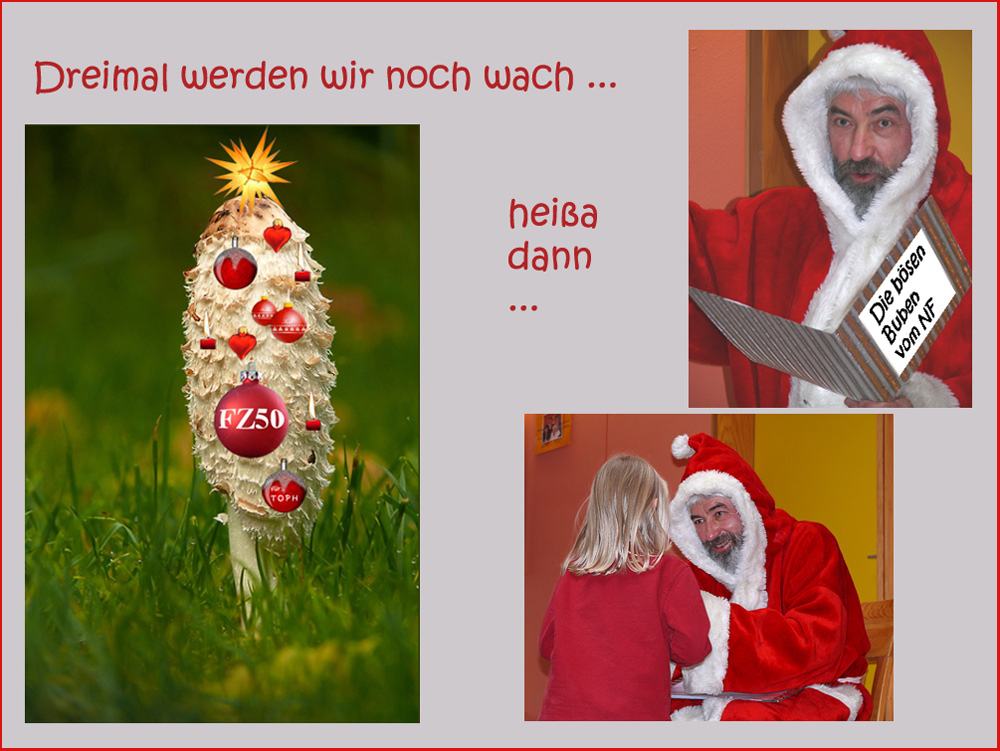 Weihnachtsbaum à la Pascale