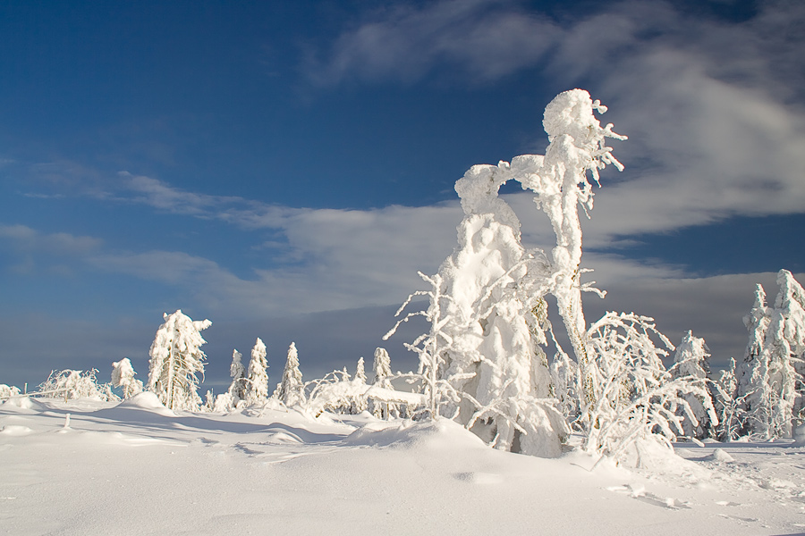 Schneegestalten