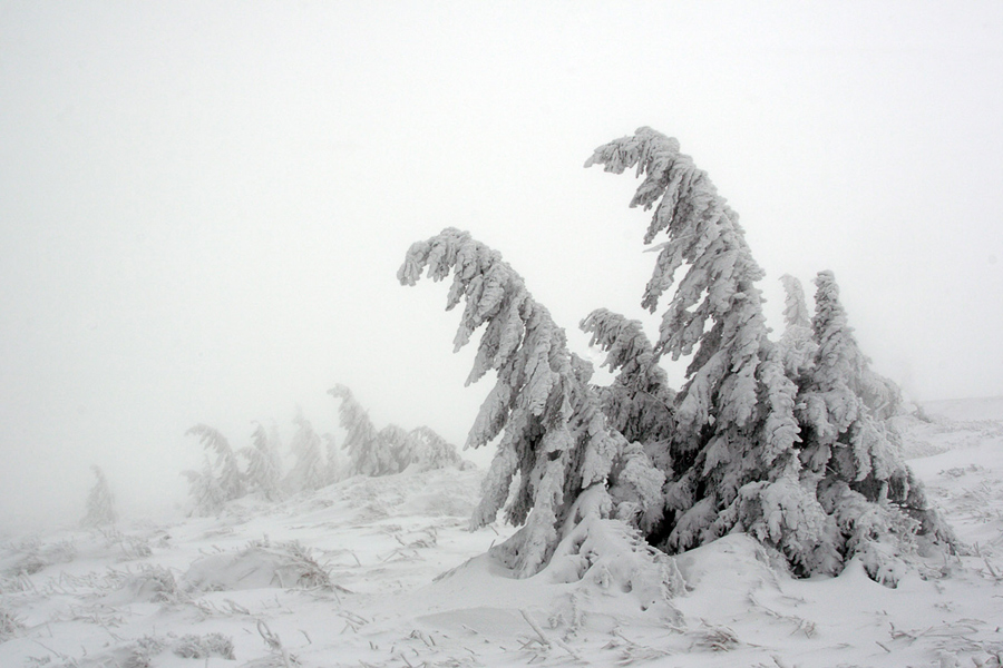 Winter auf dem Brocken